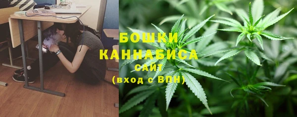 MESCALINE Переславль-Залесский