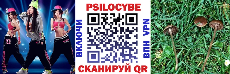 где найти   площадка клад  Галлюциногенные грибы Psilocybine cubensis  Оса 