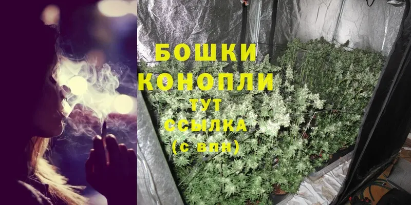 МЕГА как войти  Оса  Каннабис OG Kush 